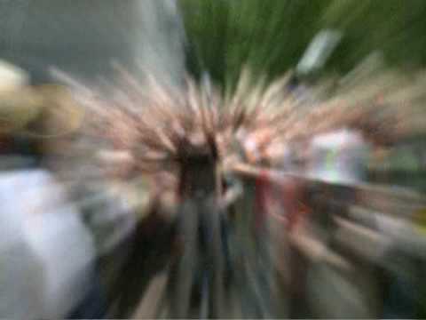 Frankie Manning's 95th Birthday Festival  DVD box set trailer