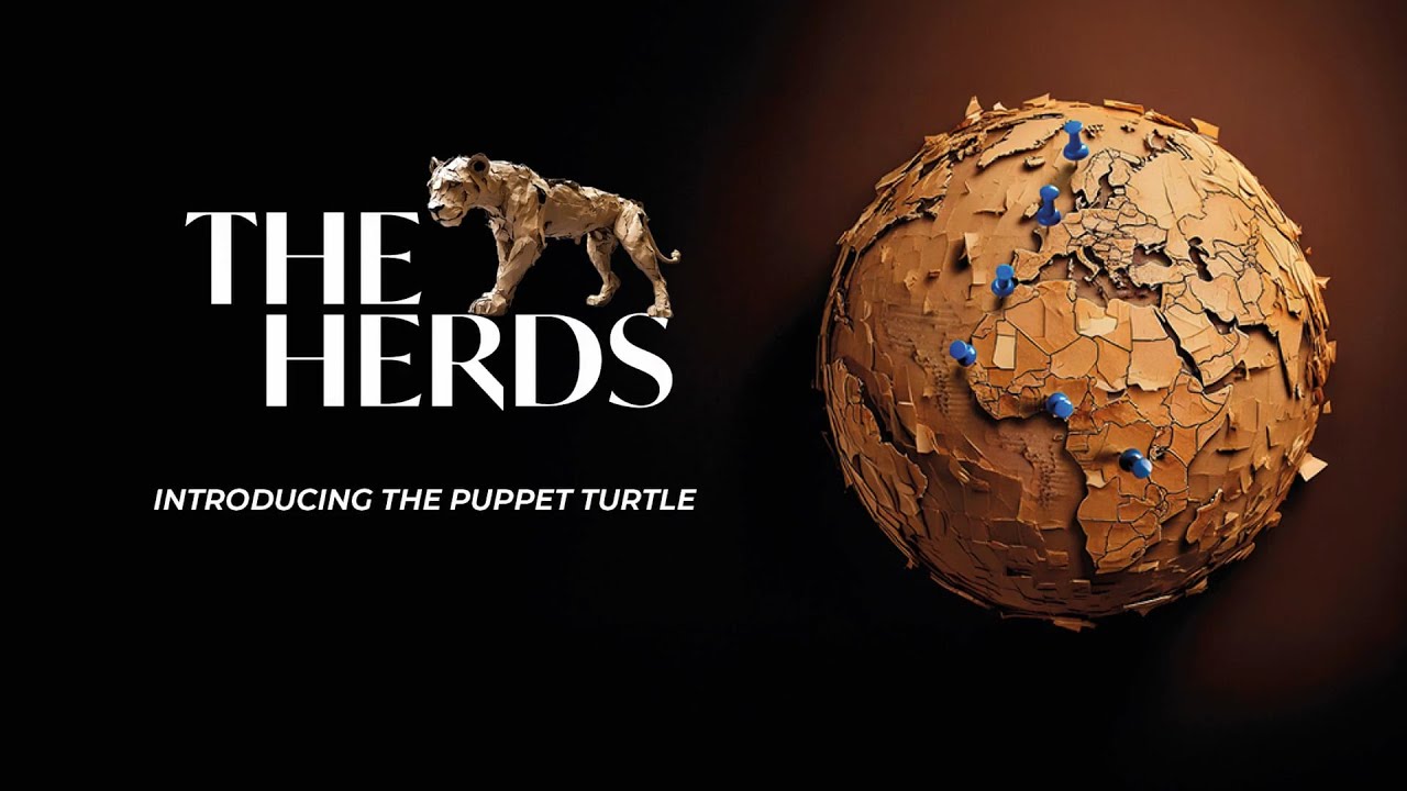 🐢 Build your own Loggerhead Sea Turtle puppet - THE HERDS