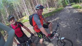 Swinley Forest