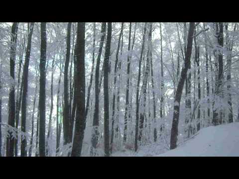 3-5 PIGADIA SKI RESORT 24-01-10