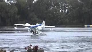 Sounds Of The Sea.mp4