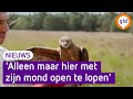 Wild van de Achtertuin #8: Een wel héél bijzonder dier!