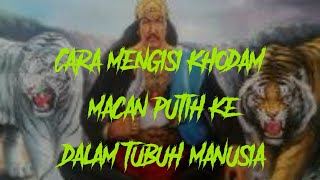 Download lagu #Agungmisteri Cara mengisi khodam macan putih ke dalam tubuh mp3