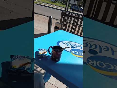 UN DIA EN MI VIDA JOAQUIN SUAREZ CANELONES