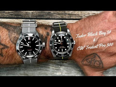 Tudor Black Bay 54 and Christopher Ward Trident Pro 300 Comparison