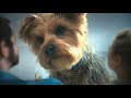Febreze Air Commercial 2026