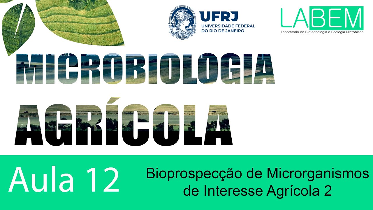 Aula 12 - Bioprospecção de Microrganismos de Interesse Agrícola II