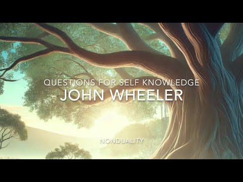 Nonduality Questions Answered. John Wheeler.