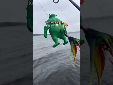 WHO is POSSIBLY using these lures 😭 #fishing #bass #fishing #shortsviral