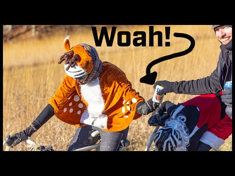 Everything on the Bikes