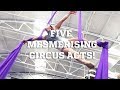 Five Mesmerizing Circus Arts