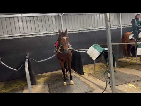 Taramansour Update I 180723