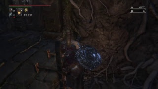 lacri3594(이)가 PS4에서 방송