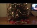 Dagen Före Jul