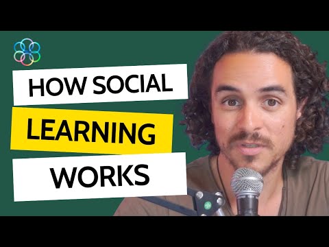 How social learning works