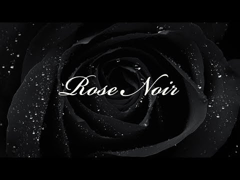 Dibby Sounds ft. Mayssa - Rose Noir | ADEKA VISION