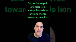 A #terminal is not the best #UI for #ai. #ClaudeCode #Codex #ide #development