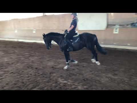 3j. Wallach von Fürstenball