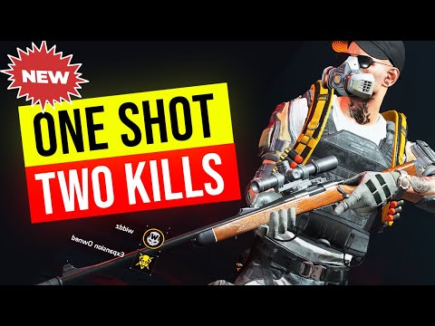 NEW INSANE 1 Shot 2 Kills Sniper Build! Turmoil The Division 2