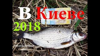 Где ловить плотву весной в киеве
