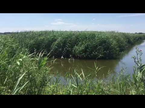 Gârla Mare – Vrata, mini delta din Mehedinţi