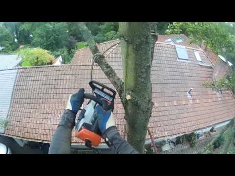 Abseilen von 2 Ästen und mehr