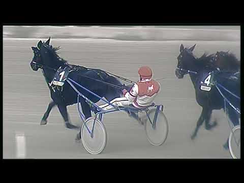 Trotto 31/05/2020 - 8ª corsa