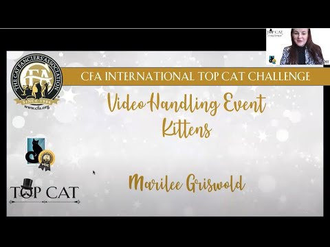 CITCC - Marilee Griswold's Kitten - Video Event Final