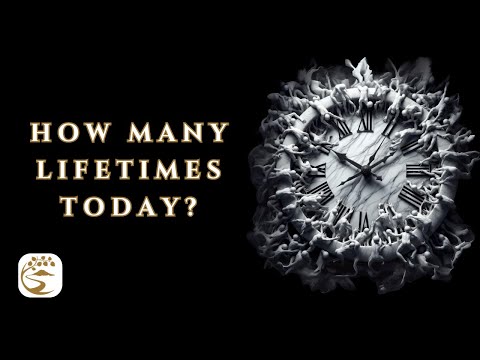 Avijjā's Algorithm: Dependent Origination & the Circumference of Suffering | Ajahn Nisabho