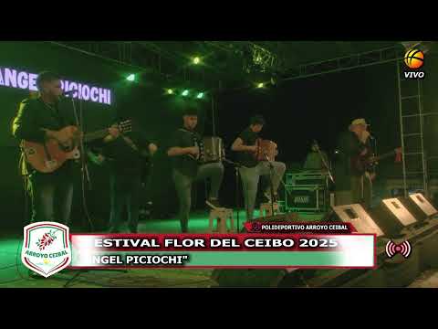 FESTIVAL "FLOR DEL CEIBO 2025" ARROYO CEIBAL
