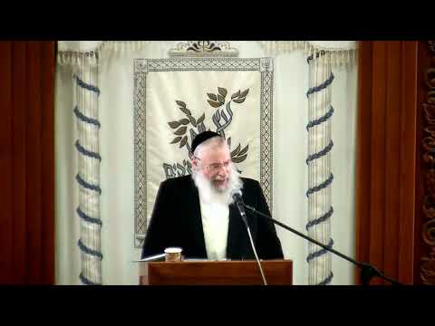 אבנו סכינו ומשאו שהניחן בראש גגו | שיעור כללי מאת מרן הרב אשר וייס שליט"א | מסכת בבא קמא