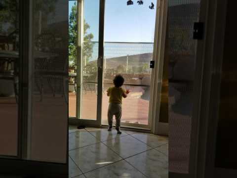 10.14.16 talking to my crow buddy.