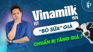 Vinamilk (VNM): Vùng giá 71k có nên đầu tư? Sự trở lại của “Cổ phiếu quốc dân” năm 2024?