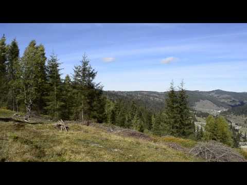 Bucovina te iubesc ( Groapa de gunoi din varful muntelui )