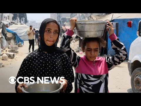 The state of starvation in Gaza