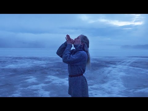 Calling and Getting an Unexpected Answer from the Wild - A Wild Whistle Conversation with Cranes