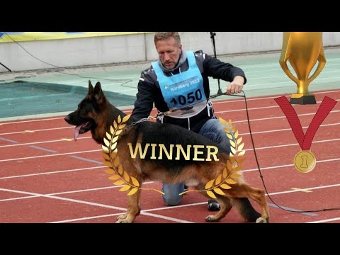 #bszs2022 - VA1 Usher aus der brunnenstraße - WINNER