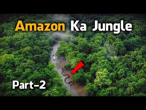 Revealing the Mystery of Mayan Civilization | Strange Facts About Amazon Rainforest [Hindi/Urdu]