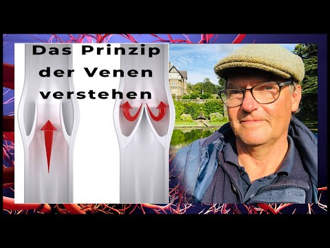 Venen verstehen - Venenprobleme erkennen - Pflege optimieren