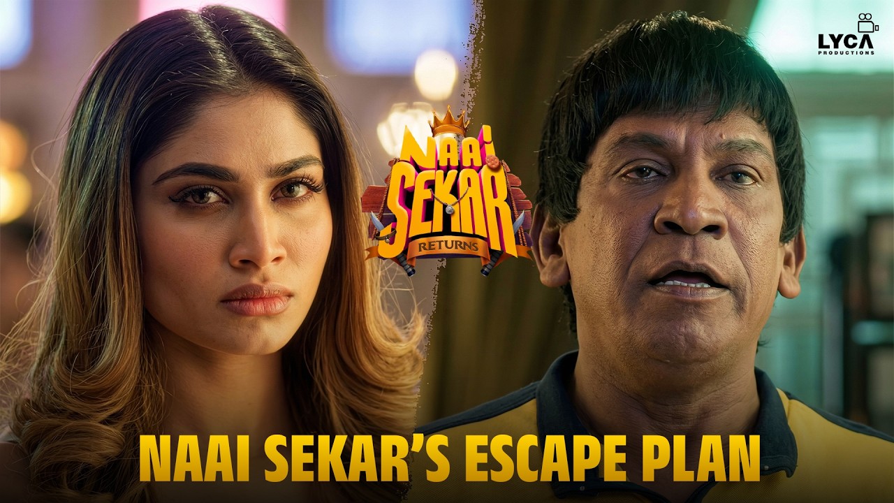 சீக்கிரம் நாய் -அ தூக்கிட்டு ஓடி போறோம் டா..! | Naai Sekar Returns | V