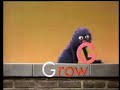 Classic Sesame Street Grover Talks About The Letter G Take 2 Full Version HQ 1970