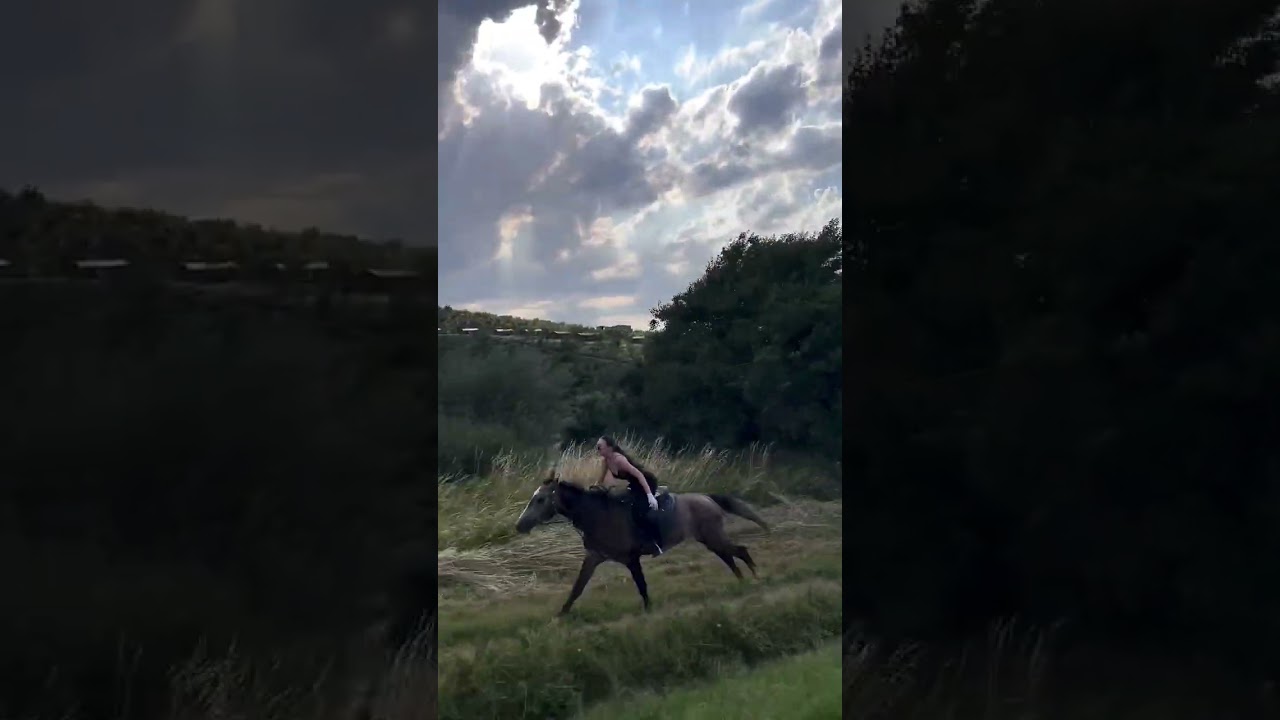 The Freedom You Feel When You Ride a Horse 🐎🔥 | Speed, Power & Adventure!#Shorts #youngrider