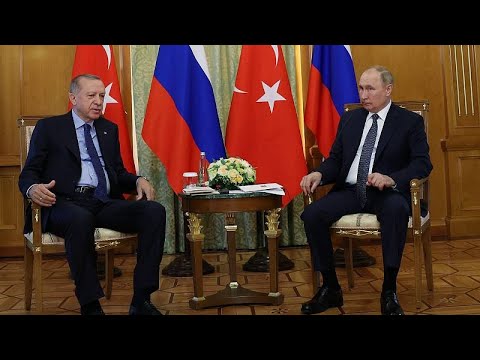 بوتين يتفق مع أردوغان على تسديد سعر 25 بالمئة من إمدادات الغاز الروسي لتركيا بالروبل