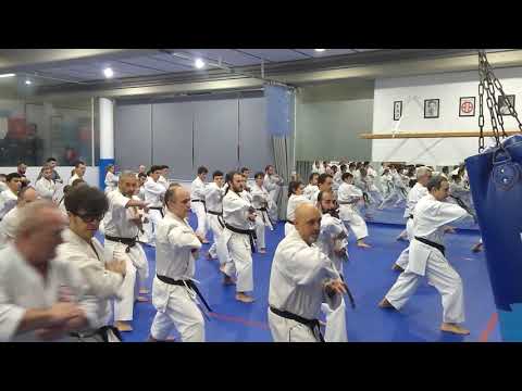 Santiago Cerezo Kata Aoyagi, I Encuentro de puertas abiertas en el Natación Terrassa 1-12-2018