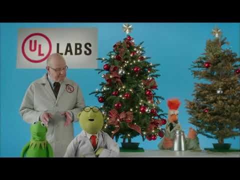 A Muppet Christmas PSA