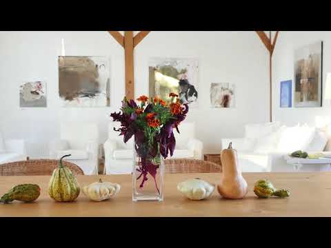 Cincşor.Transilvania.Case de Oaspeţi.