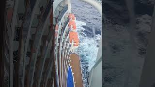 Walking the Glass Walkway on Majestic Princess! #MajesticPrincess #GlassWalkway #short