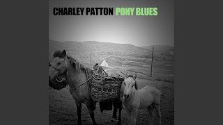 Devil Sent the Rain Blues