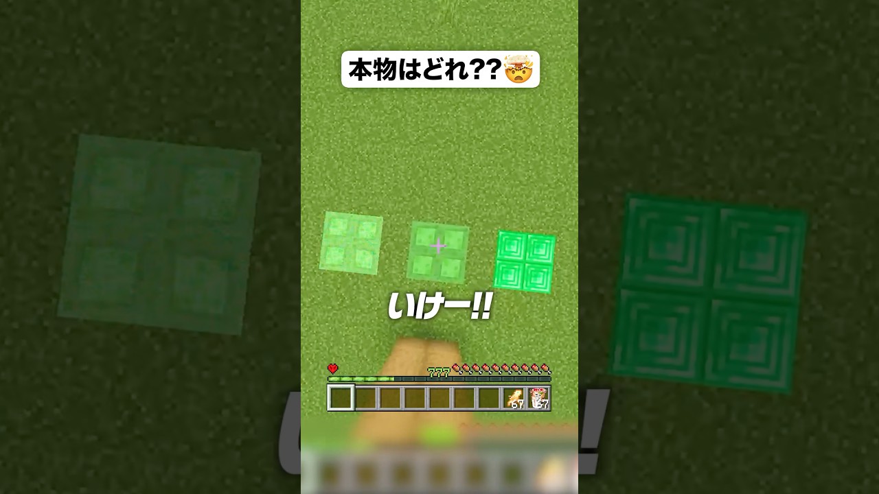 本物はどれ？？🤯 #shorts #マイクラ