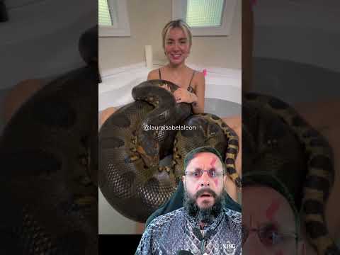 Giant anaconda, Biologist Henrique doesn't want to sleep on the couch #duet #smartanimal #animals